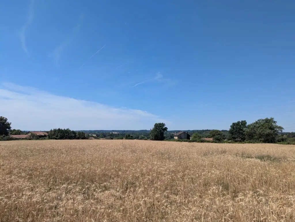 whatsapp image 2025 07 13 at 22.04.48 large